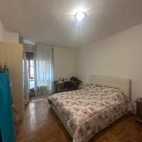 Ampia stanza singola disponibile da subito