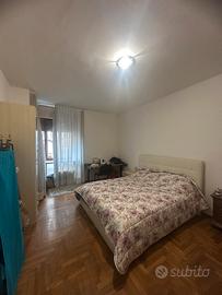 Ampia stanza singola disponibile da subito