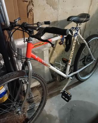 Bici usata