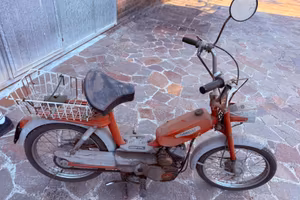 Garelli