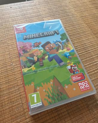 Minecraft Switch 1