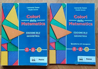 COLORI DELLA MATEMATICA GEOMETRIA 9788849421651