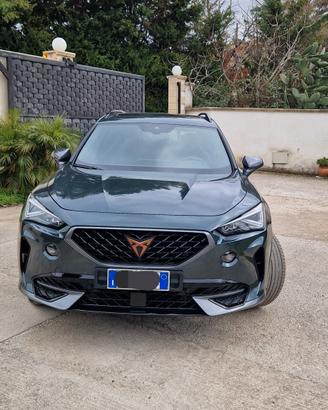 cupra formentor 2.0 tdi 150 cv