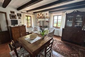 Casale in pietra ristrutturato con vigneto