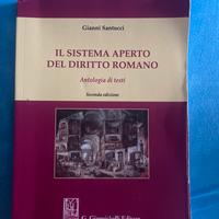 Il sistema aperto del diritto romano