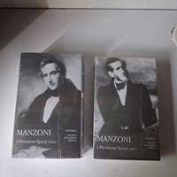 Manzoni i promessi sposi meridiani