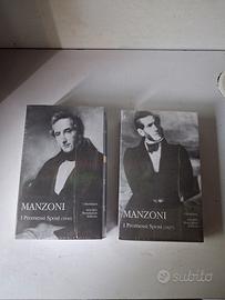 Manzoni i promessi sposi meridiani