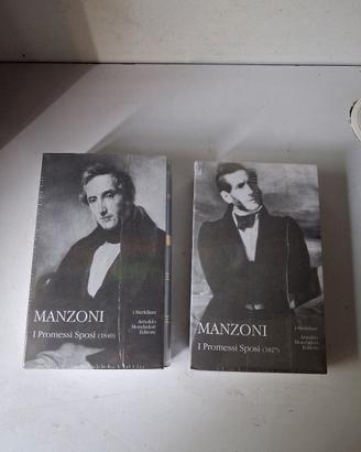 Manzoni i promessi sposi meridiani