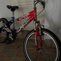 Bici