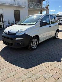 Panda van autocarro diesel