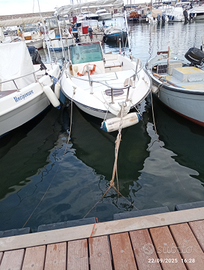 Barca Angelo Molinari 501