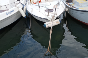 Barca Angelo Molinari 501