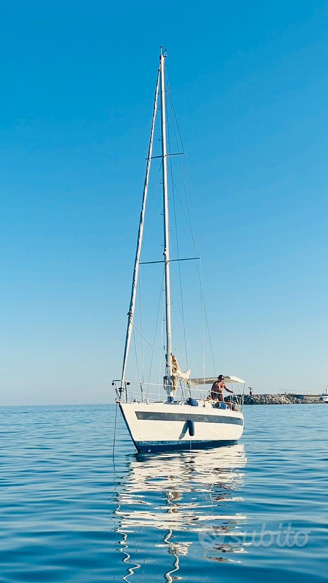Koala 34 — View photo 1