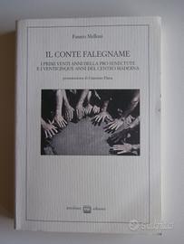 Libro Il conte falegname di Fausto Melloni