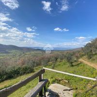 CASA DI CORTE A MONTEFIASCONE