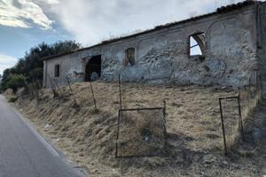 Rustico indipendente con frantoio pozzo e terreno