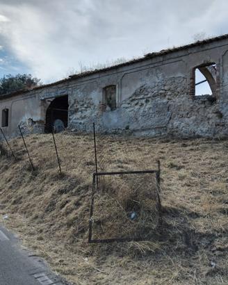 Rustico indipendente con frantoio pozzo e terreno