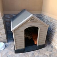 cuccia per cani taglia grande