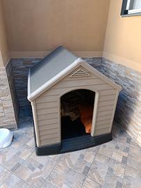 cuccia per cani taglia grande