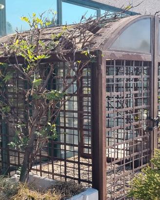 Gazebo in ferro battuto