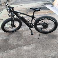 Bicicletta Elettrica