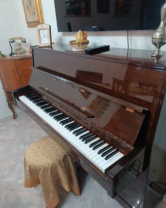 pianoforte 🎹