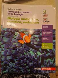 Immagini concetti della biologia Biologia molecol