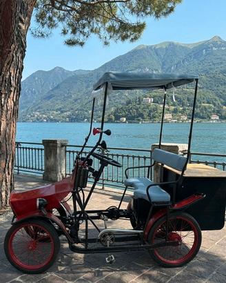 risciò vintage a pedalata assistita 