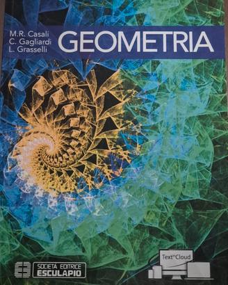 Libro di Algebra e Geometria