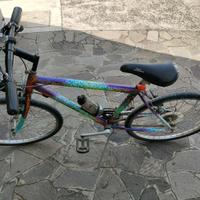 Mountain bike uomo marca Cabran