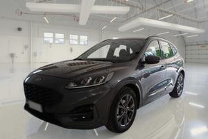 FORD KUGA 1.5 ECOBLUE 120 CV 2WD ST-LINE AUTO SUV