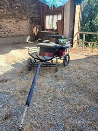 Carrozza maratona