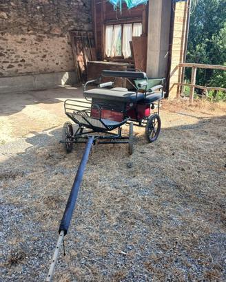 Carrozza maratona