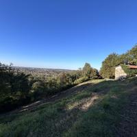 Terreno con vista panoramica immerso nei boschi