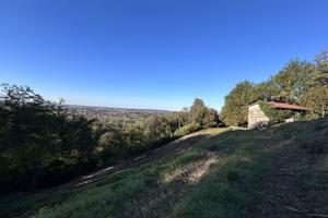 Terreno con vista panoramica immerso nei boschi