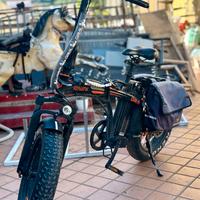 Bici elettrica Giama Fanatik