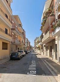 Nettuno elegante appartamento ammobiliato