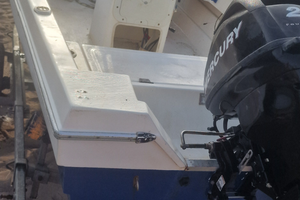 Barca lancia con motore 20cv mercury