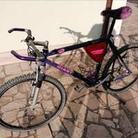 Bicicletta MTB Giant Escaper