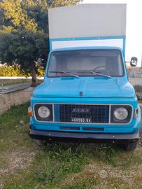 fiat 616 n3 trasposto bestiame 