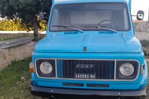fiat 616 n3 trasposto bestiame 