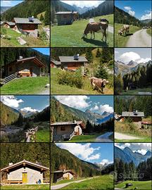 Chalet nella natura incontaminata Riserva Naturale