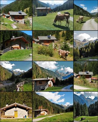 Chalet nella natura incontaminata Riserva Naturale