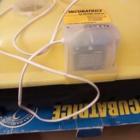 incubatrice 