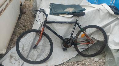 mountain bike bicicletta bici tg 24
