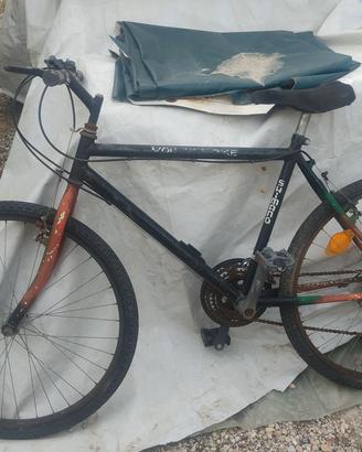 mountain bike bicicletta bici tg 24