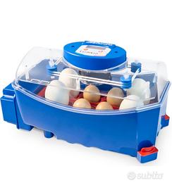incubatrice borotto