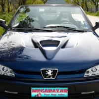 Fari Angel Eyes Peugeot 306 97 2001