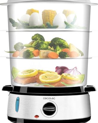 Cecotec Vapovita 3000 Steamer elettrico
