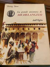 La grande avventura di Michelangelo